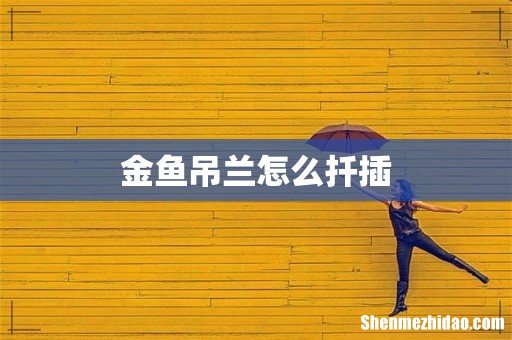 金鱼吊兰怎么扦插
