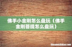 佛手金刚菩提怎么盘玩 佛手小金刚怎么盘玩