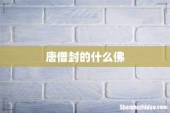 唐僧封的什么佛