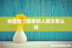 你是哪个国家的人英文怎么说
