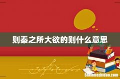 则秦之所大欲的则什么意思