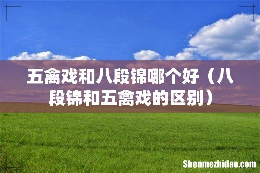 八段锦和五禽戏的区别 五禽戏和八段锦哪个好