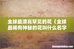 全球最稀有神秘的花叫什么名字 全球最漂亮罕见的花