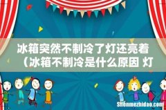 冰箱不制冷是什么原因 灯会亮 冰箱突然不制冷了灯还亮着