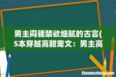 5本穿越高甜宠文：男主高冷禁欲超会撩，个个都是宠妻狂魔，你想看吗？ 男主闷骚禁欲细腻的