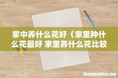 家里种什么花最好 家里养什么花比较好 家中养什么花好