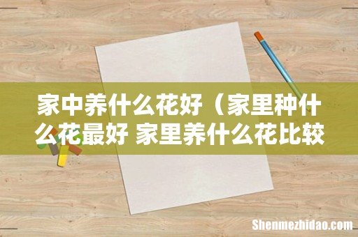 家里种什么花最好 家里养什么花比较好 家中养什么花好