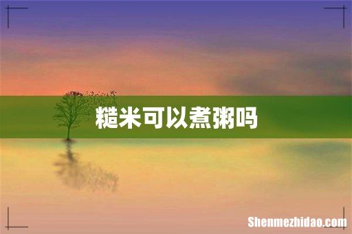 糙米可以煮粥吗