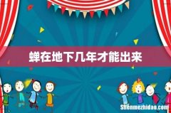 蝉在地下几年才能出来