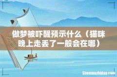 猫咪晚上走丢了一般会在哪 做梦被吓醒预示什么