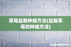 盆栽草莓的种植方法 草莓盆栽种植方法