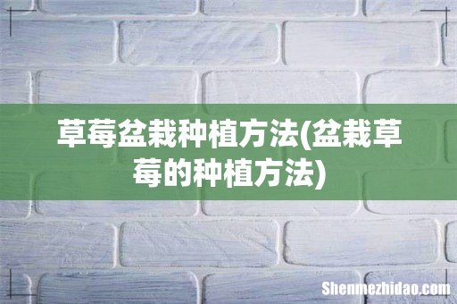 盆栽草莓的种植方法 草莓盆栽种植方法