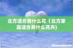 北方适合养什么花（北方家庭适合养什么花卉)