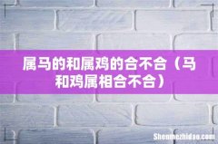马和鸡属相合不合 属马的和属鸡的合不合