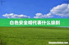 白色安全帽代表什么级别