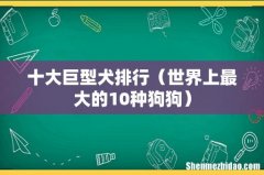 世界上最大的10种狗狗 十大巨型犬排行