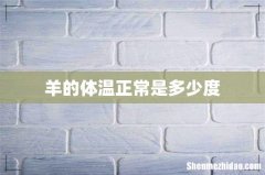 羊的体温正常是多少度