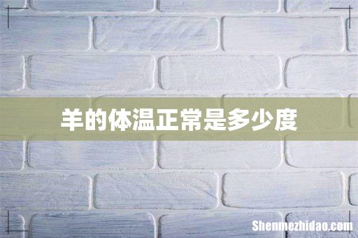 羊的体温正常是多少度