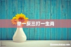 举一反三打一生肖