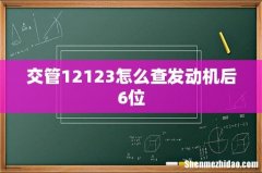 交管12123怎么查发动机后6位