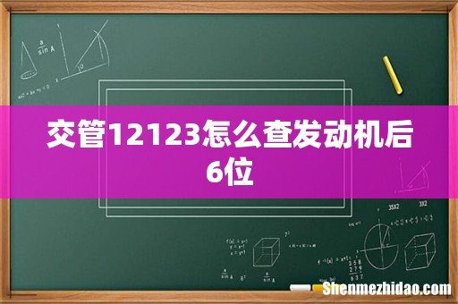 交管12123怎么查发动机后6位