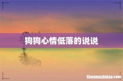 狗狗心情低落的说说