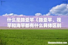 路亚竿、筏竿和海竿都有什么具体区别呢 什么是路亚竿