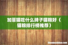 猫粮排行榜推荐 加菲猫吃什么牌子猫粮好