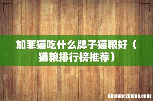 猫粮排行榜推荐 加菲猫吃什么牌子猫粮好