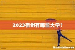 2023宿州有哪些大学？