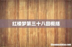 红楼梦第三十八回概括