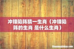 冲锋陷阵的生肖 是什么生肖 冲锋陷阵猜一生肖