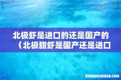 北极甜虾是国产还是进口的 北极虾是进口的还是国产的