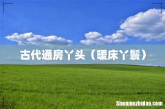 暖床丫鬟 古代通房丫头