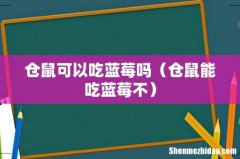 仓鼠能吃蓝莓不 仓鼠可以吃蓝莓吗