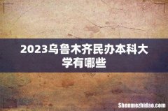 2023乌鲁木齐民办本科大学有哪些