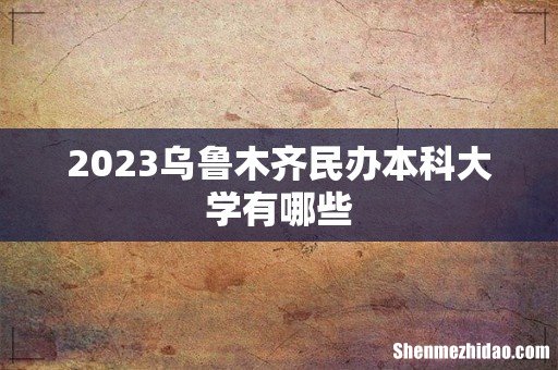 2023乌鲁木齐民办本科大学有哪些
