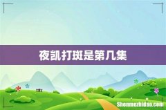 夜凯打斑是第几集