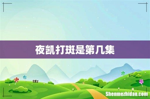 夜凯打斑是第几集