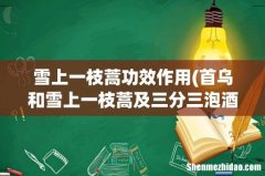 首乌和雪上一枝蒿及三分三泡酒有什么作用 雪上一枝蒿功效作用