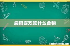 袋鼠喜欢吃什么食物