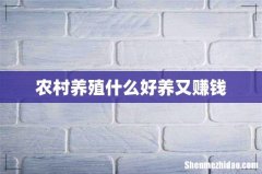 农村养殖什么好养又赚钱