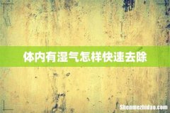 体内有湿气怎样快速去除