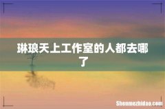 琳琅天上工作室的人都去哪了