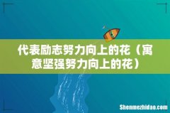 寓意坚强努力向上的花 代表励志努力向上的花