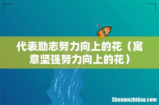 寓意坚强努力向上的花 代表励志努力向上的花