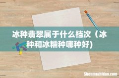 冰种翡翠属于什么档次（冰种和冰糯种哪种好)