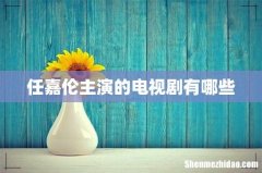 任嘉伦主演的电视剧有哪些