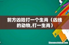 凶线的动物,打一生肖 前方凶险打一个生肖