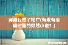 有没有隋唐时期的穿越小说？ 穿越我成了杨广